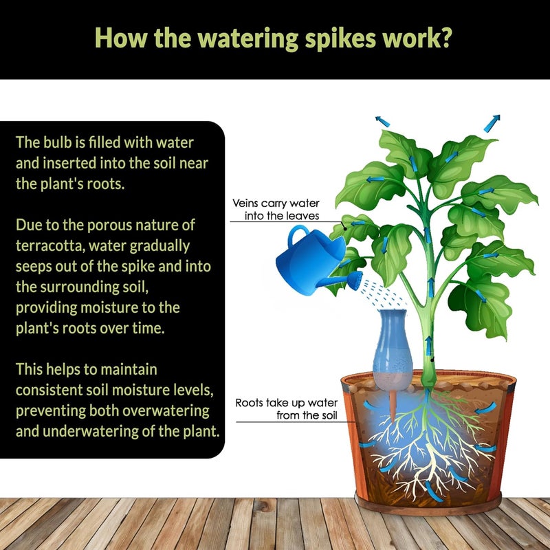 SMARTILIVING Drip Irrigation Stakes - Extra Large Improved Drip Easy-Refill 4 Week Waterer System with Large Reservoir Bulbs - Automatic Self-Watering Device for Indoor & Outdoor Plants - Image 4